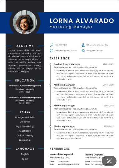 Professional CV Sample 39